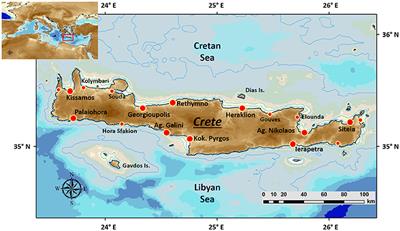 Caught in the Same Net? Small-Scale Fishermen's Perceptions of Fisheries Interactions with Sea Turtles and Other Protected Species